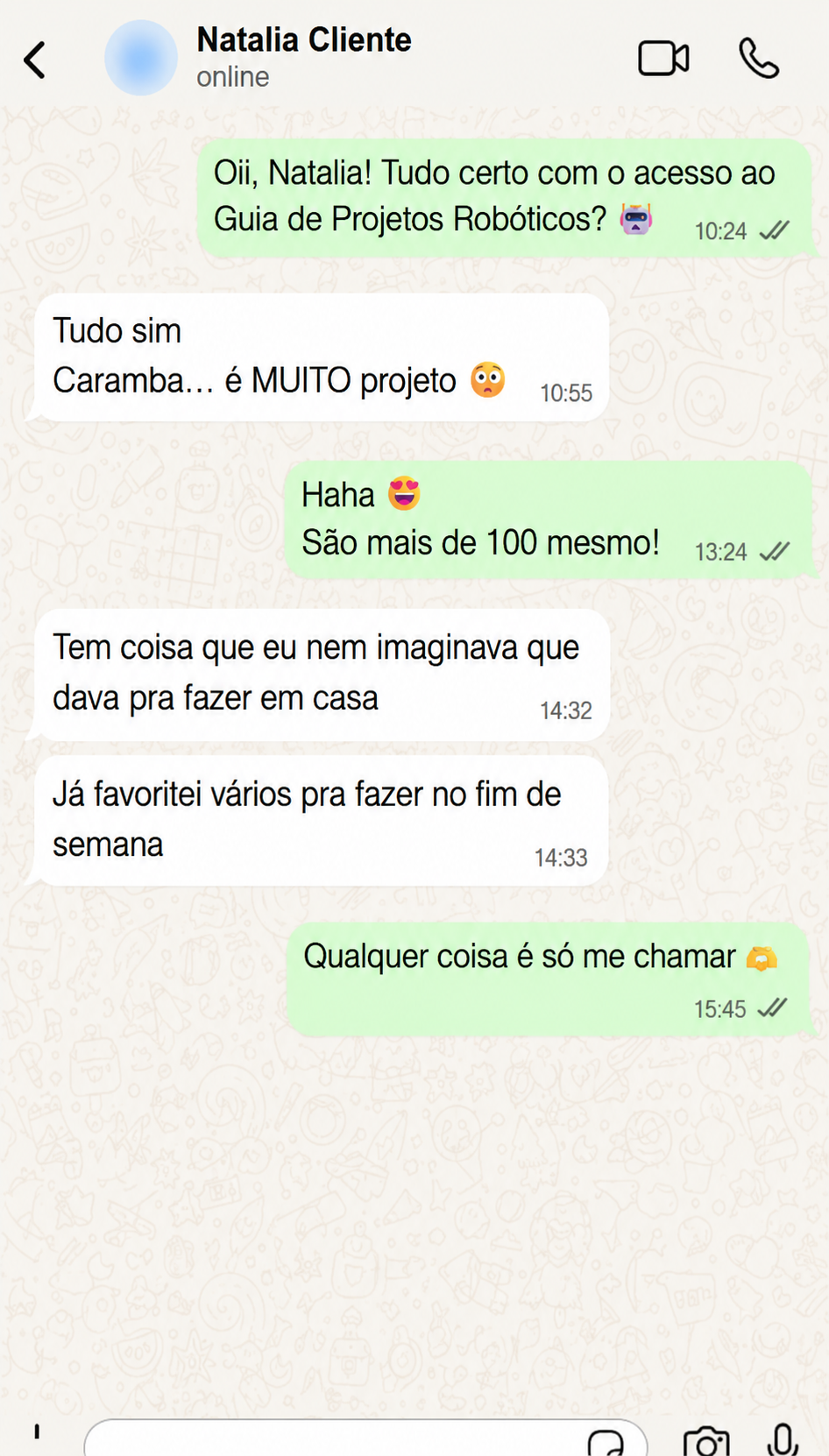 Conversa no WhatsApp com a cliente Natalia comentando a quantidade de projetos